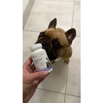 Lab-v Thyron – Wsparcie Prawidłowej Pracy Tarczycy dla Psów i Kotów 90 Kapsułek