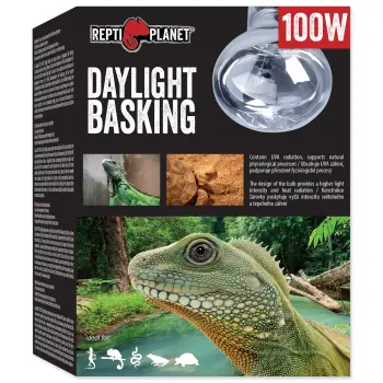 REPTI PLANET Żarówka Daylight Basking Spot 100W