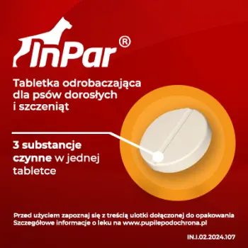 Vet-Agro InPar Tabletki Odrobaczające Dla Psa 2szt