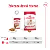 ROYAL CANIN Medium Adult 10x140g