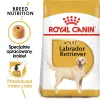 ROYAL CANIN Labrador Retriever Adult 3kg