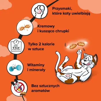 DREAMIES Przysmak Dla Kota Z Kurczakiem 60g