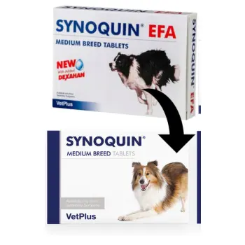 VetPlus Synoquin Efa Medium Breed 30tab