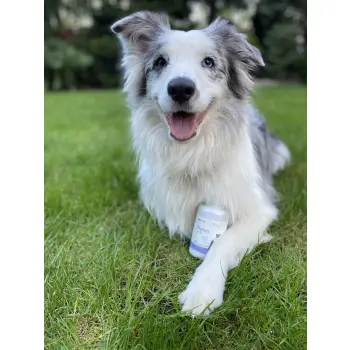 Lab-v Thyron – Wsparcie Prawidłowej Pracy Tarczycy dla Psów i Kotów 90 Kapsułek