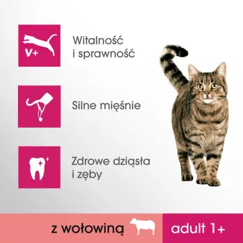 PERFECT FIT Adult 1+ Z Wołowiną 750g