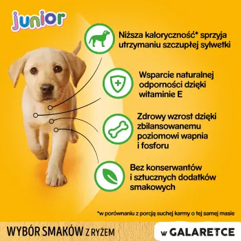 Pedigree Mokra Karma Dla Szczeniąt W Galaretce (Z Kurczakiem I Ryżem, Z Wołowiną I Ryżem) 4x100g