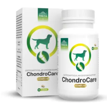 POKUSA ChondroLine ChondroCare 120 tab.