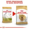 ROYAL CANIN Great Dane Adult 12kg