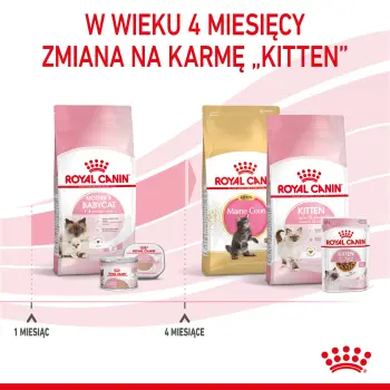 ROYAL CANIN Mother & Babycat 2kg