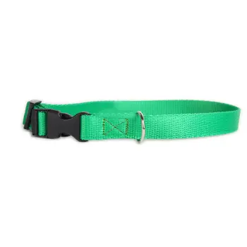 DogStuffs Obroża z plastikową klamrą 20mm/30-55cm zielona