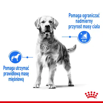 ROYAL CANIN CCN Maxi Light Weight Care 3kg