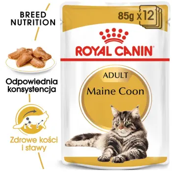 ROYAL CANIN Maine Coon Adult 12x85g