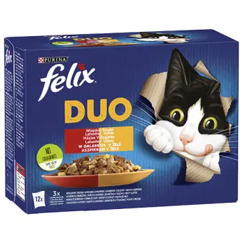 Felix Duo Wiejskie Smaki W Galaretce Z Mięsem 12x85g