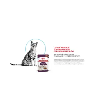 ROYAL CANIN Sensory Feel Kawałki W Sosie 12x85g