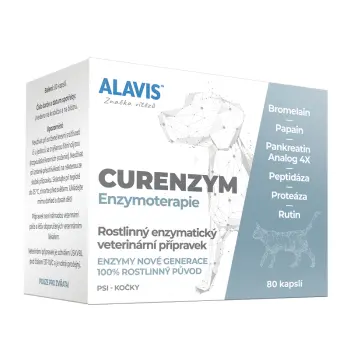 ALAVIS CURENZYM Enzymoterapie 80tab