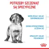 ROYAL CANIN Medium Puppy 15kg