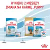 ROYAL CANIN Mini Starter Mother & Babydog 8,5kg