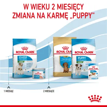 ROYAL CANIN Mini Starter Mother & Babydog 8kg