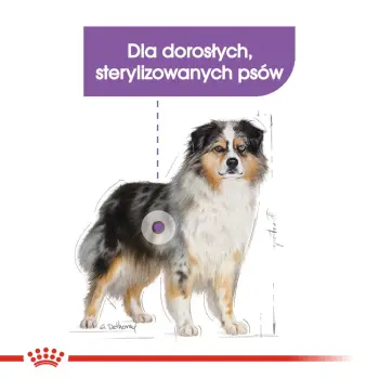 ROYAL CANIN CCN Medium Sterilised 12kg