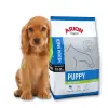 Arion Original Puppy Medium Breed Chicken & Rice 12kg