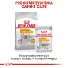 ROYAL CANIN CCN Coat Care Pasztet 12x85g