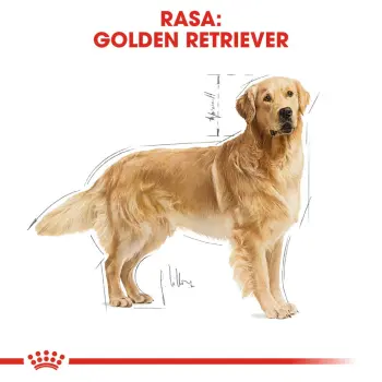 ROYAL CANIN Golden Retriever Adult 12kg