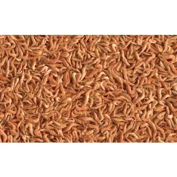 Tetra Reptodelica Shrimps 1l