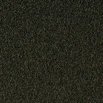 Tropical Super Spirulina Forte Mini Granulat 250ml