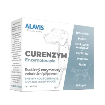 ALAVIS CURENZYM Enzymoterapie 20tab