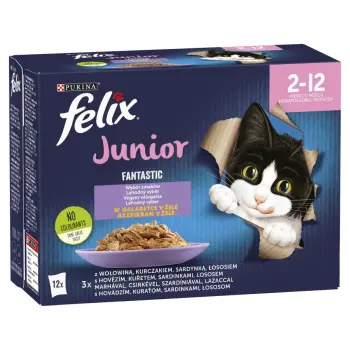 Felix Fantastic Junior W Galaretce 12x85g