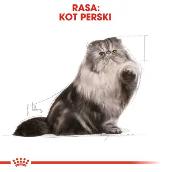 ROYAL CANIN Persian Adult 10kg