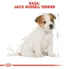 ROYAL CANIN Jack Russell Terrier Puppy 3kg