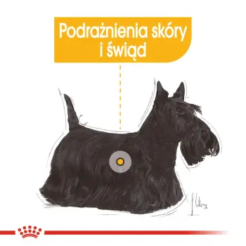 ROYAL CANIN Dermacomfort Pasztet 12x85g