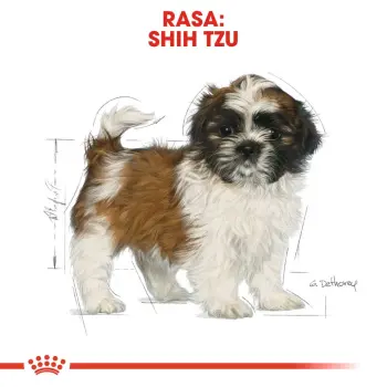 ROYAL CANIN Shih Tzu Puppy 1,5kg