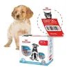 ROYAL CANIN Wyprawka dla szczenięcia MEDIUM PUPPY + kupon rabatowy 20zł!!!