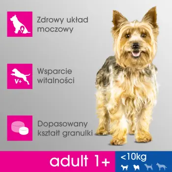 PERFECT FIT Adult 1+ Małe Rasy Z Kurczakiem 6kg