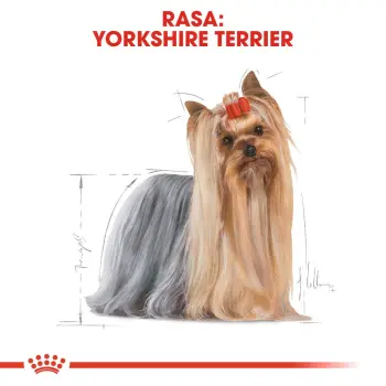 ROYAL CANIN Yorkshire Terrier Adult 3kg