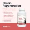 Lab-v Cardio Regeneration 90 kapsułek – wsparcie serca dla psów i kotów