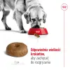 ROYAL CANIN Maxi Ageing 8+ 15kg