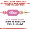 ROYAL CANIN Maine Coon Kitten 10kg