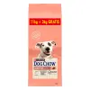 Purina Dog Chow Sensitive Adult Z Łososiem 14kg