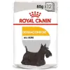 ROYAL CANIN Dermacomfort Pasztet 12x85g