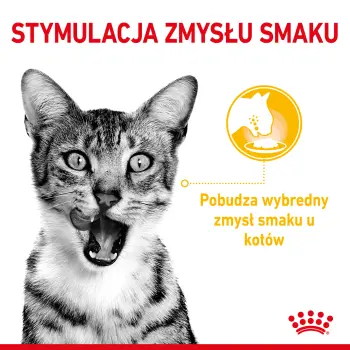 ROYAL CANIN Sensory Taste Kawałki W Sosie 12x85g