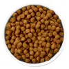 Hill's PD Prescription Diet Canine i/d 12kg