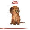 ROYAL CANIN Dachshund Puppy 1,5kg