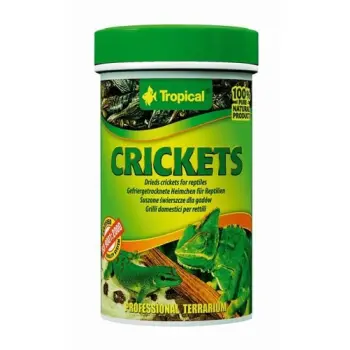 Tropical Crickets 250ml