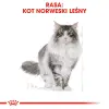 ROYAL CANIN Norwegian Forest Cat Adult 400g