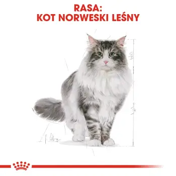 ROYAL CANIN Norwegian Forest Cat Adult 400g