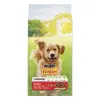 FRISKIES Purina Active Duo 10kg