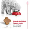 ROYAL CANIN Mini Adult 8+ 2kg